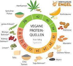 Vegane Protein Rezepte für deine Power ganz ohne Fleisch